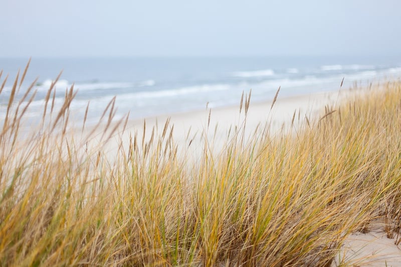 Coastal Fusion